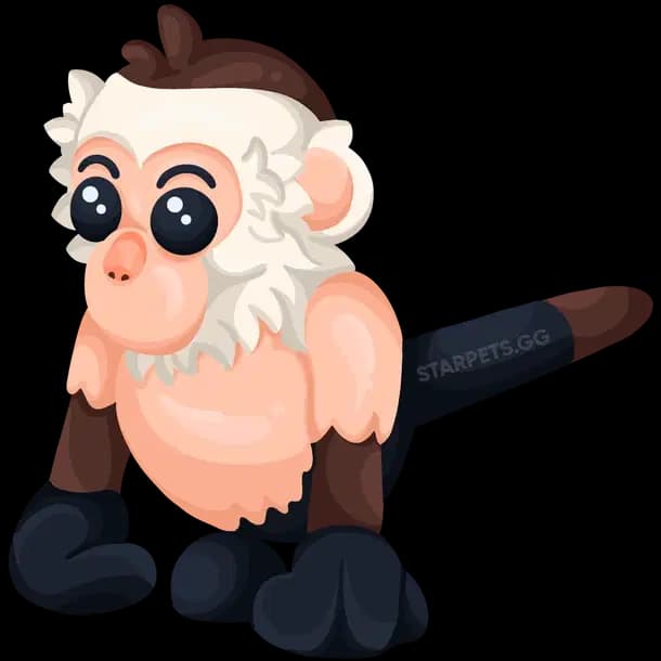 Capuchin Monkey Adopt Me value