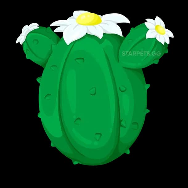Desert Egg