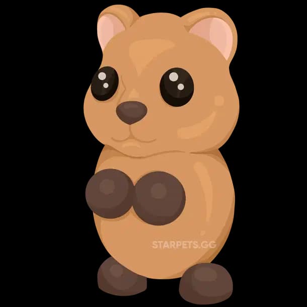 Quokka Adopt Me value