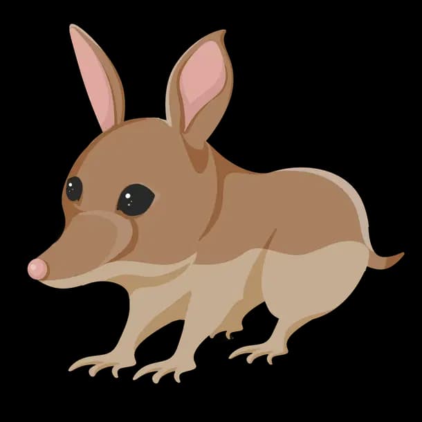 Bandicoot Adopt Me value