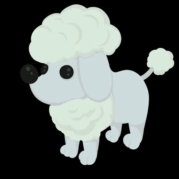 Poodle Adopt Me value