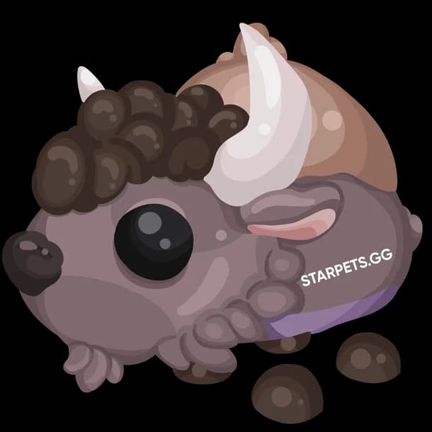 Bison