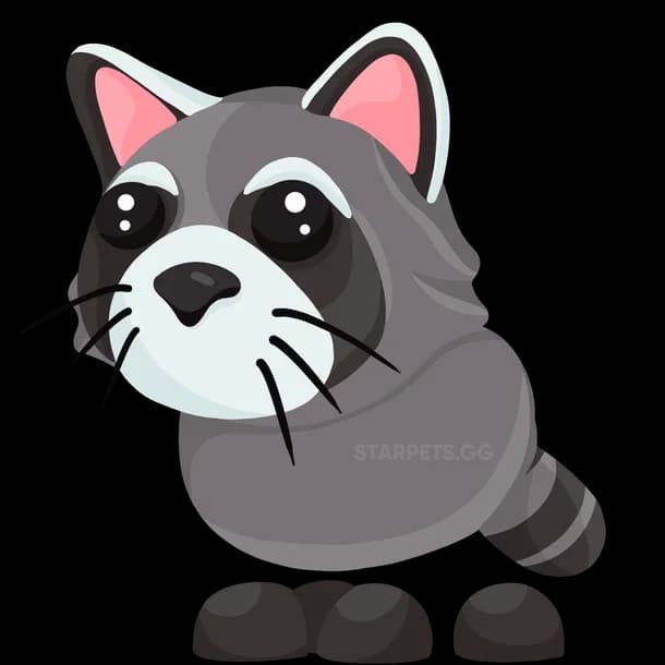 Raccoon Adopt Me value