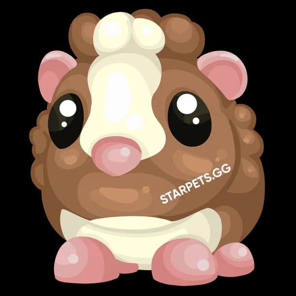 Chocolate Dutch Guinea Pig Adopt Me value
