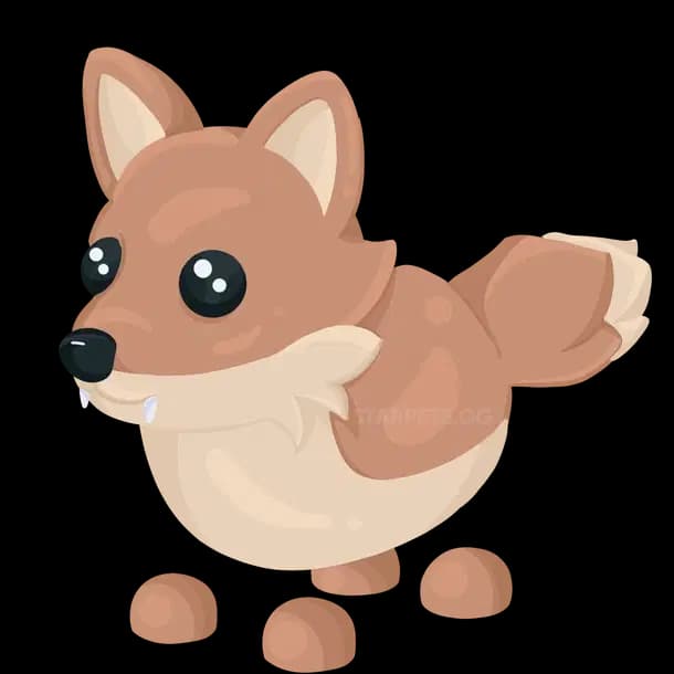 Coyote Adopt Me value