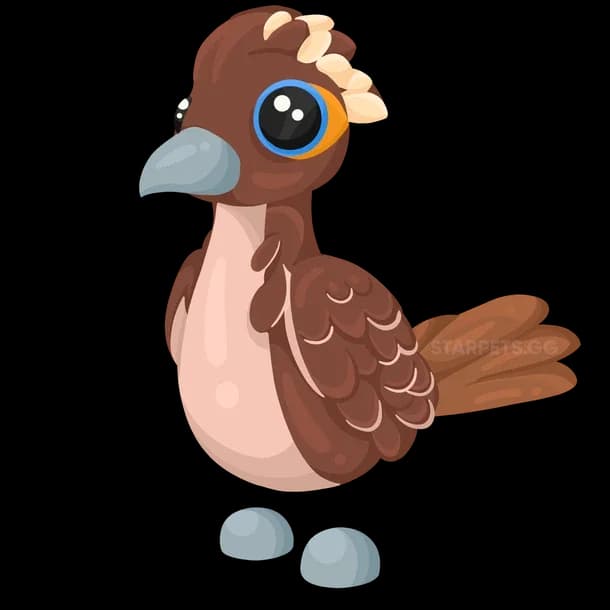 Roadrunner Adopt Me value