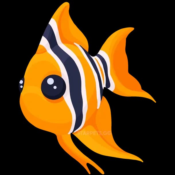 Angelfish Adopt Me value