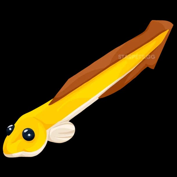 Eel Adopt Me value
