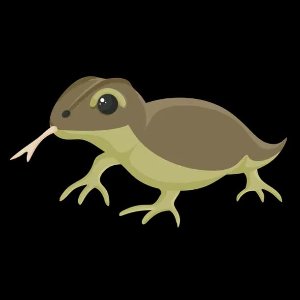 Komodo Dragon Adopt Me value