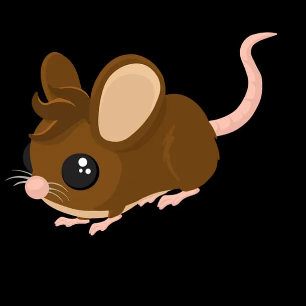 Field Mouse Adopt Me value
