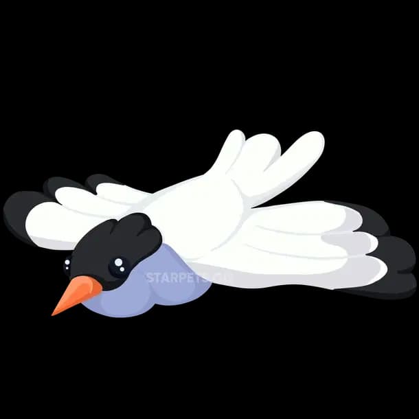 Arctic Tern Adopt Me value