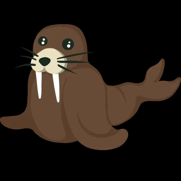 Walrus Adopt Me value