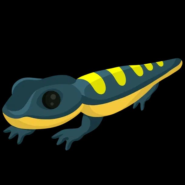 Salamander Adopt Me value